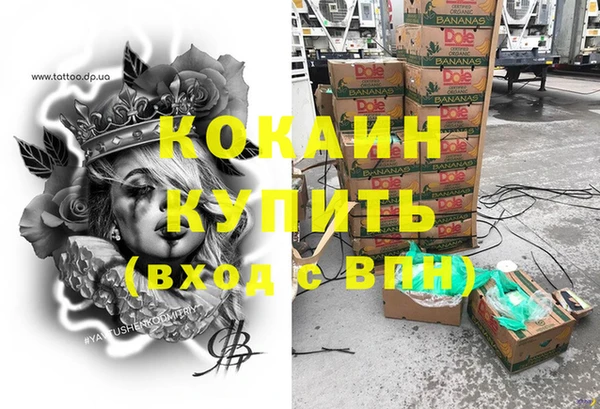 шишки Володарск