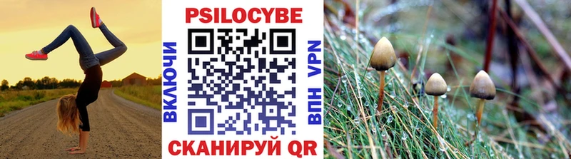 Галлюциногенные грибы Cubensis  Адыгейск 